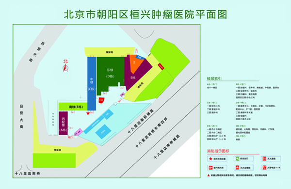 女生被艹的免费视频北京市朝阳区桓兴肿瘤医院平面图